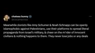 Netizens call out Hollywood for not firing Noah Schnapp or Amy Schumer but dropping Barrera for pro-Palestine posts. (Image via X/@cocainecross)